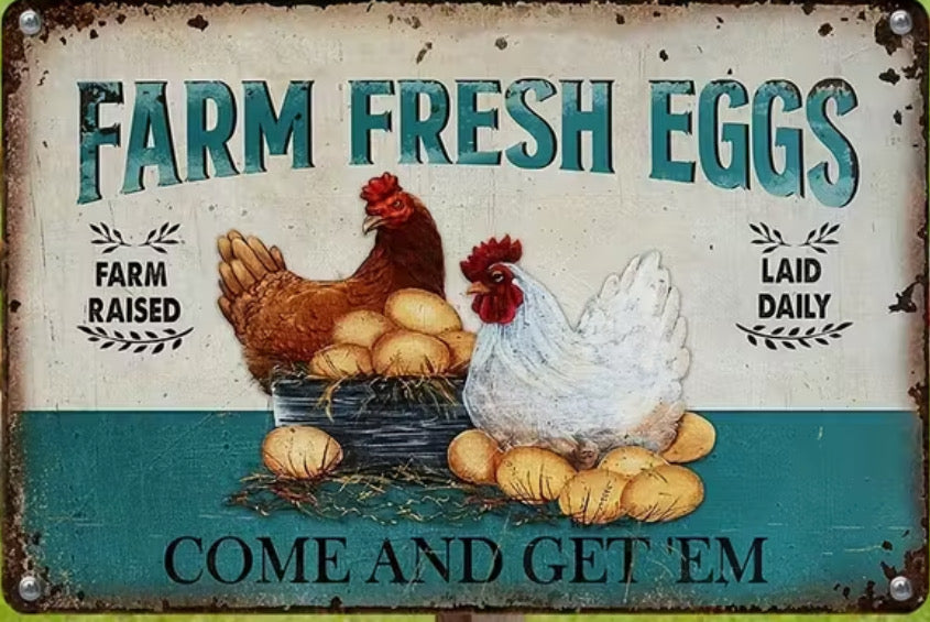 Farm fresh eggs come and get them