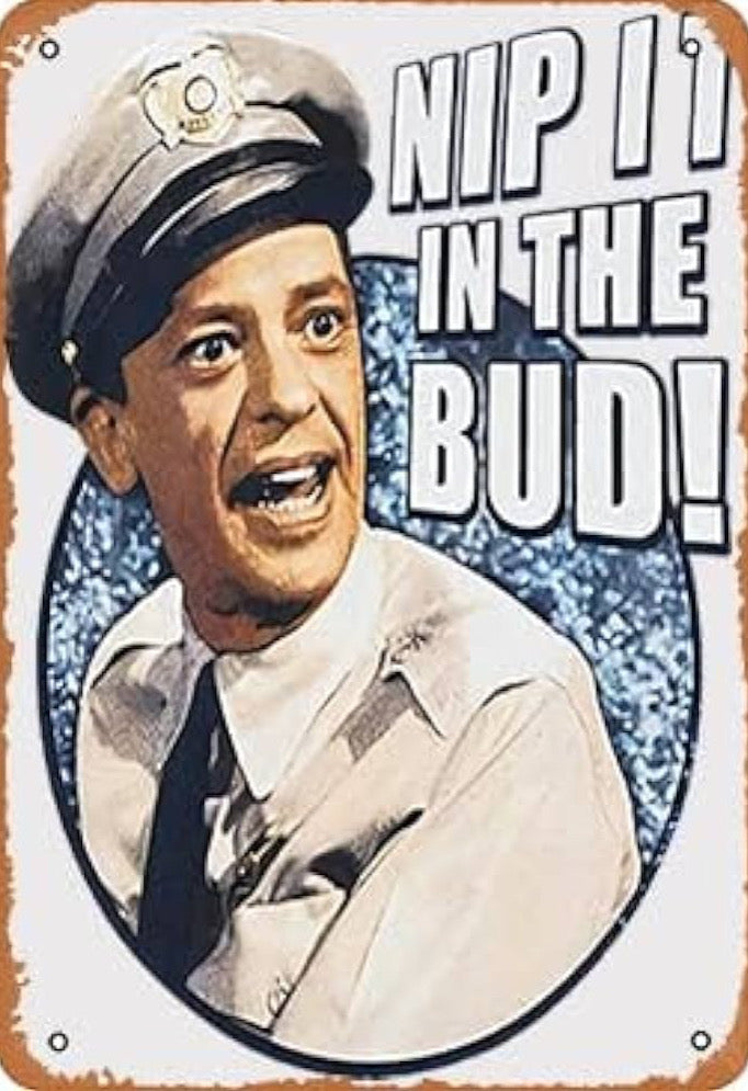 Barney Fife nip it in the bud.